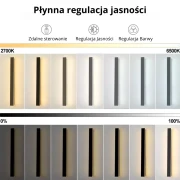 regulacje jasnosci.webp