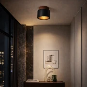 torra nowy.webp